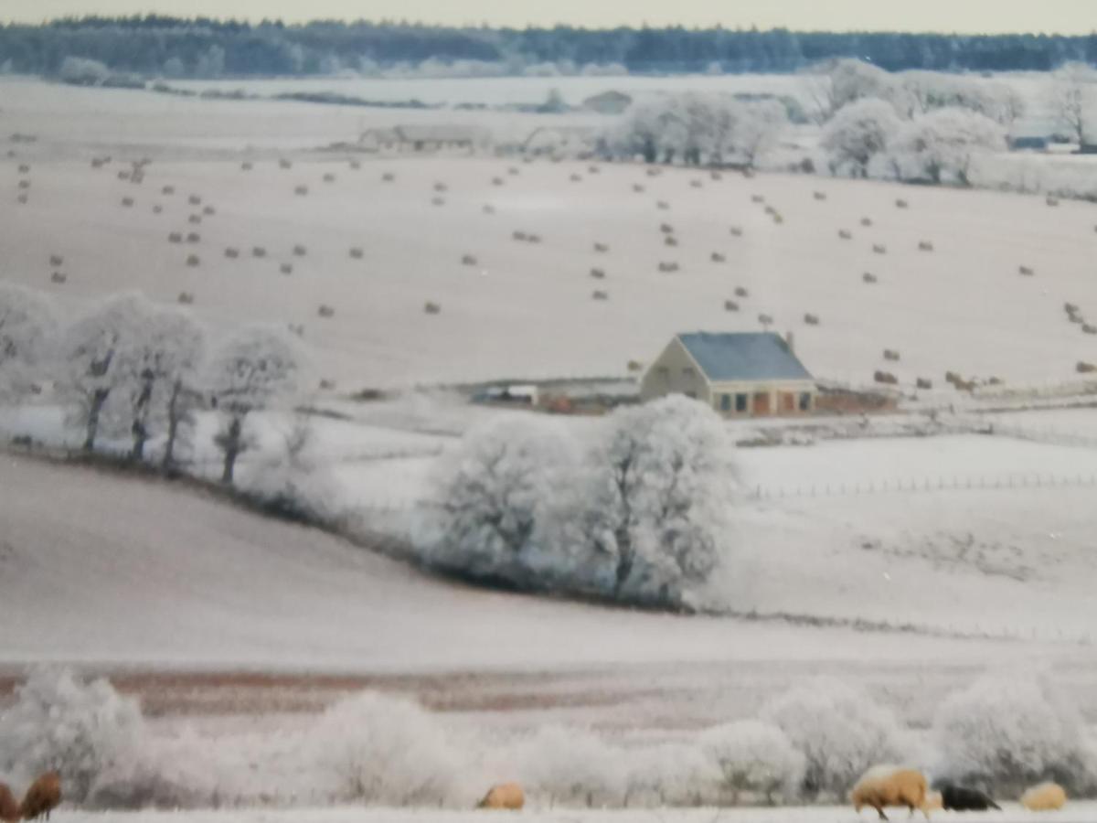 Bed and Breakfast Hillhaven Bed &Breakfast Fortrose Exterior foto